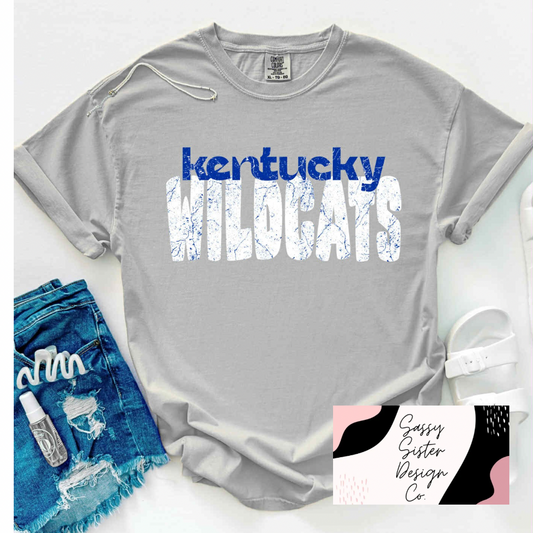 Kentucky Distressed Wildcats