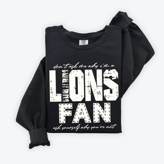 Why I'm A Lions Fan