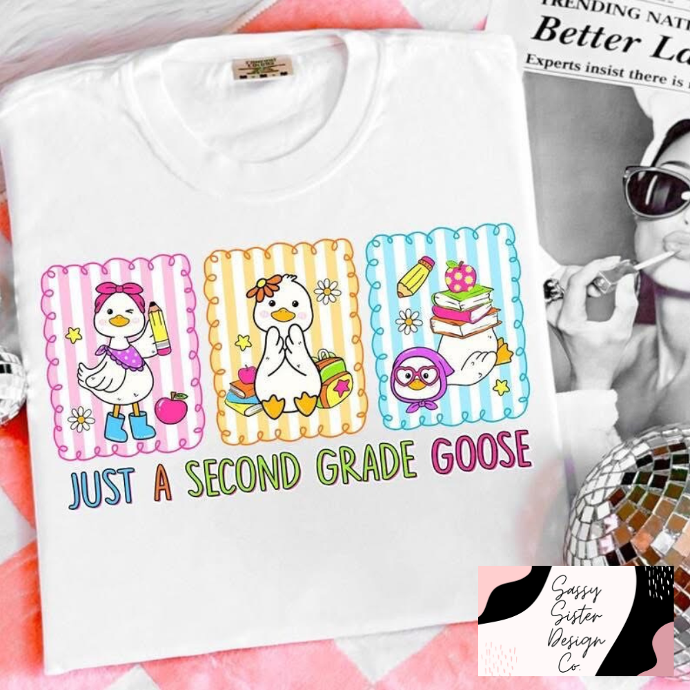Grade Level Goose Comfort Colors Tee