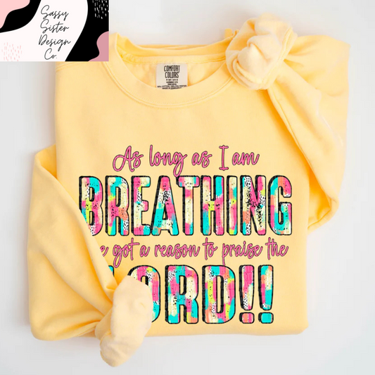 I’ve Got A Reason To Praise Colorful Comfort Colors Sweatshirt