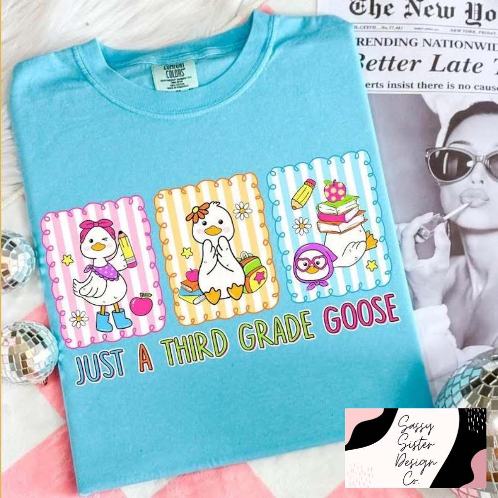 Grade Level Goose Comfort Colors Tee