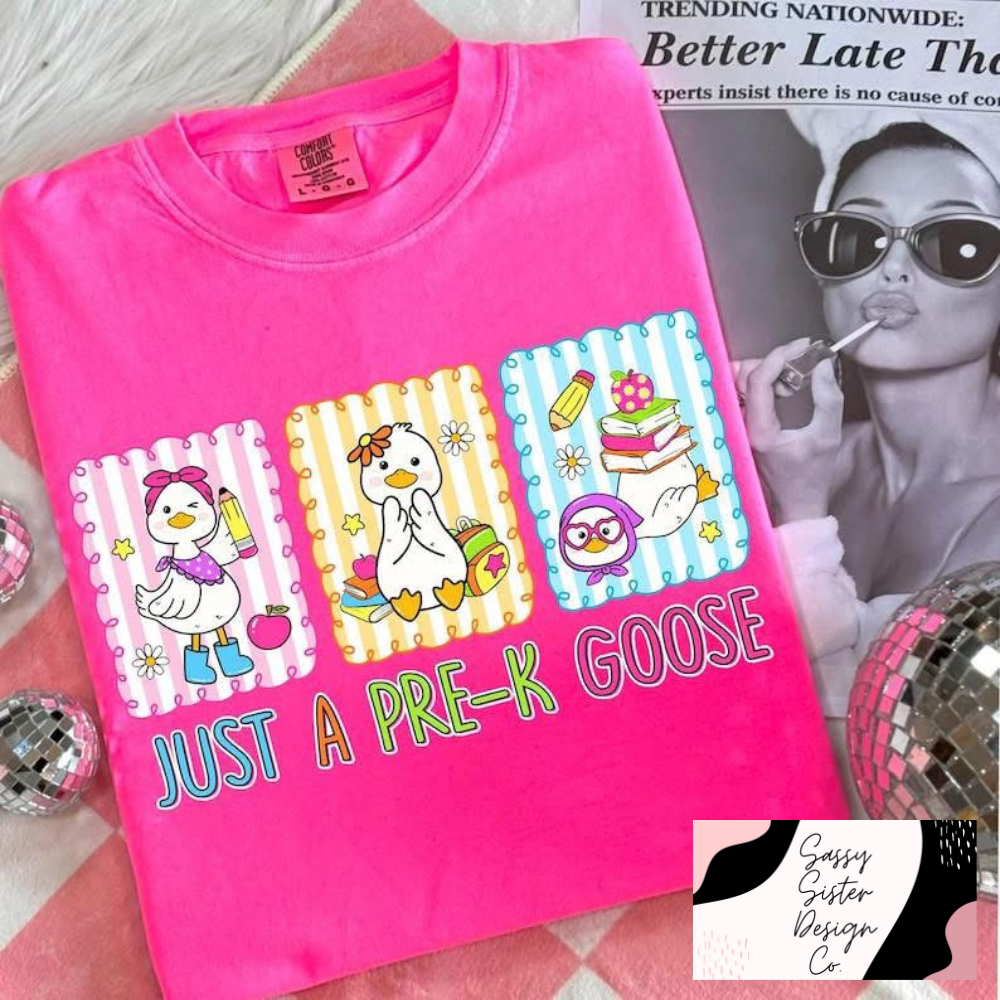 Grade Level Goose Comfort Colors Tee