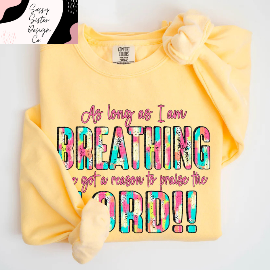 I’ve Got A Reason To Praise Colorful Comfort Colors Sweatshirt